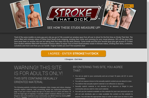 Stroke That Dick