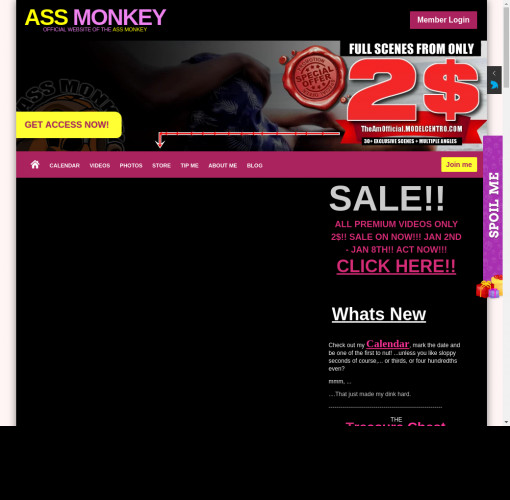 ass monkey