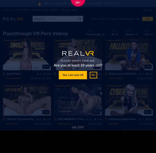 passthrough vr