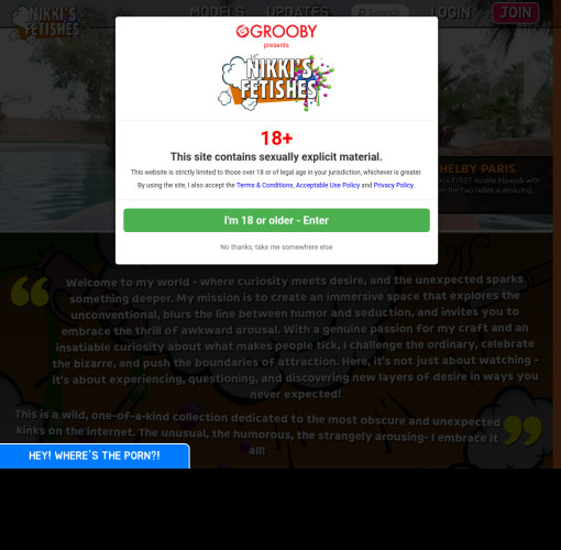 nikkis fetishes