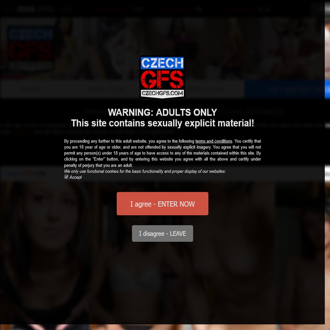 czech gfs password